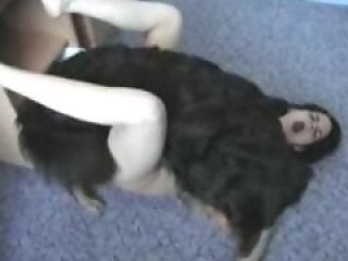 ZooY