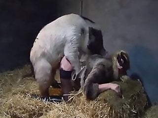 Free bestiality and zoophilia porn